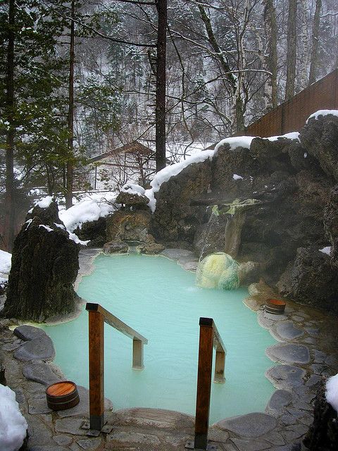 WIN A JAPANESE VACATION! INDULGE YOURSELF IN HOT SPRINGS AND HAVE FUN IN THE SNOW! ($6,000 VALUE) Giveaway