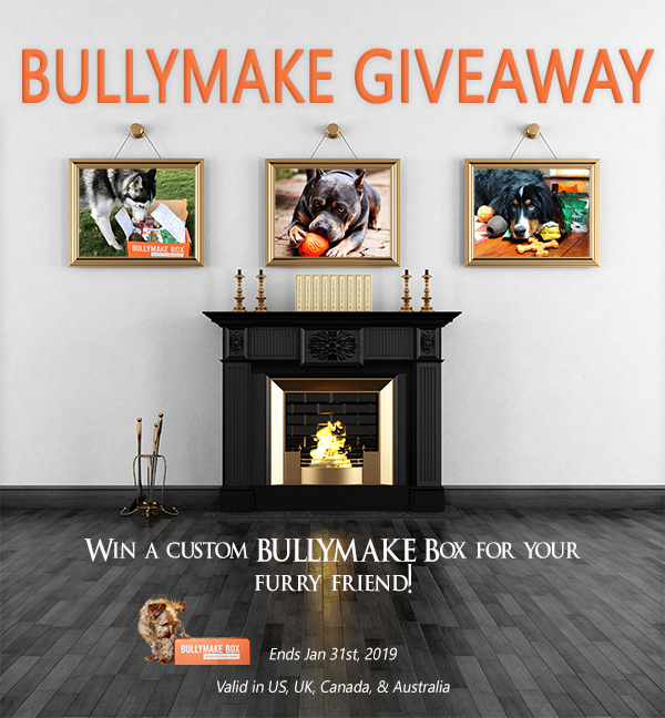 Customized BULLYMAKE Box Giveaway