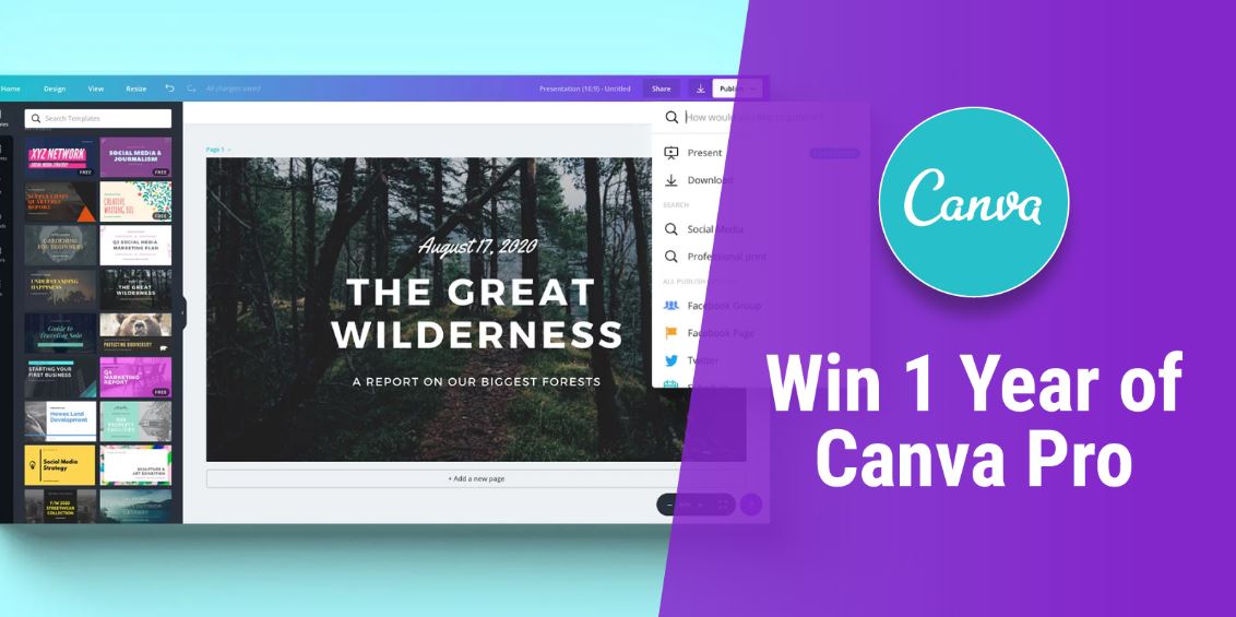 1 Year of Canva Pro ($120 USD)