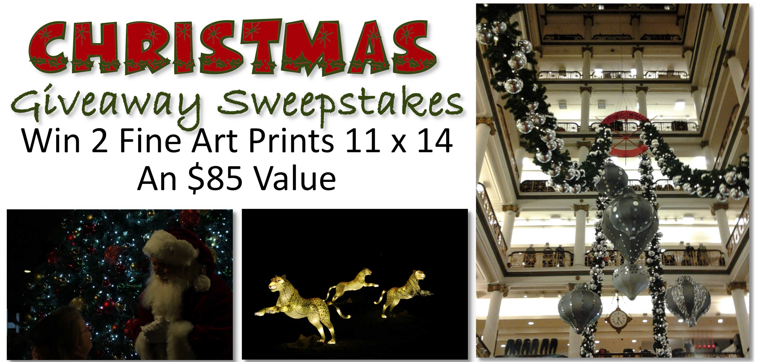 TWO 11 x 14 (or 14 x 11) unframed Fine Art Photographs or Digital Art Prints Giveaway