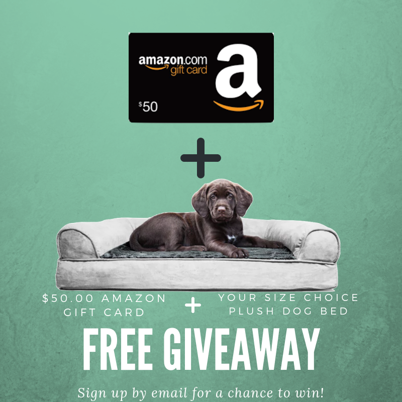 $50 Amazon Gift Card and a Plush Dog Bed Giveaway Giveaway