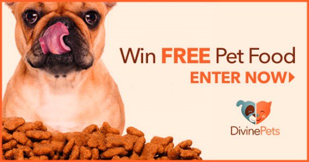 Win Free Pet Food for a Year Giveaway