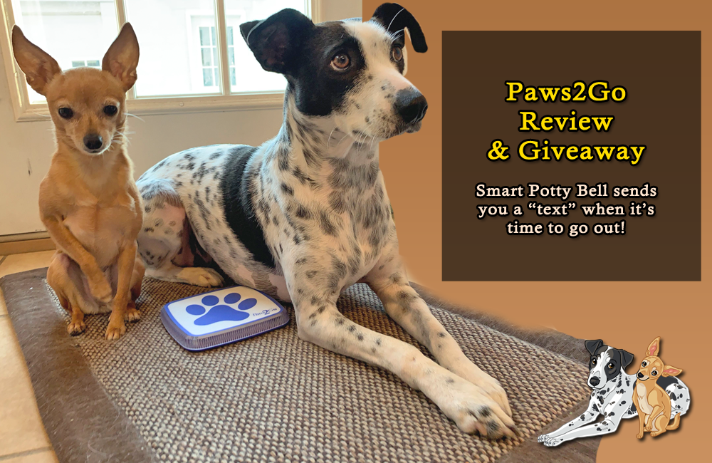 Paws2Go Electronic Smart Potty Bell For Dogs Giveaway