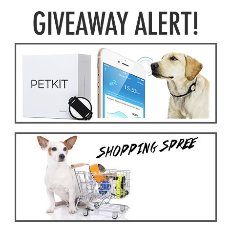 Pet Tracke Giveaway