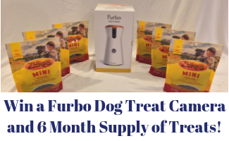 Furbo Dog Treat Camera and 6 Months of Treats Giveaway